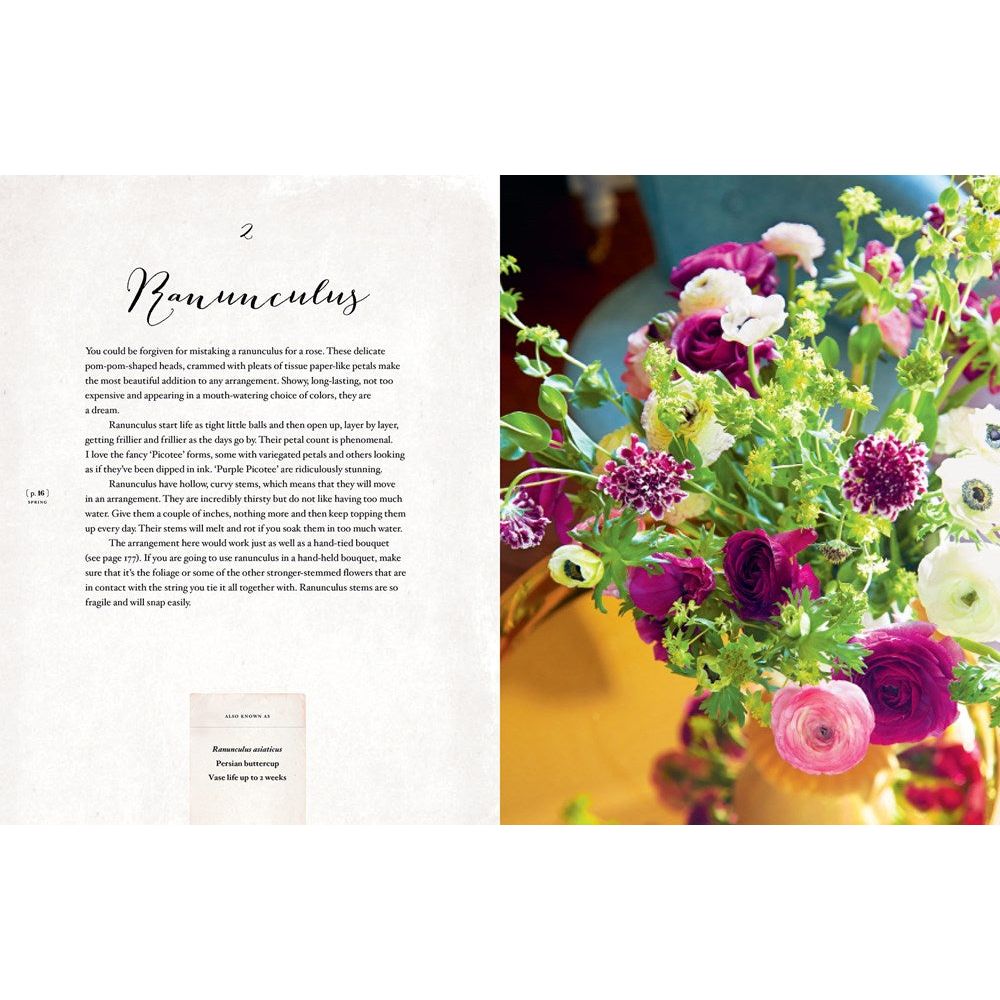 Flourish: Stunning Arrangements with Flowers